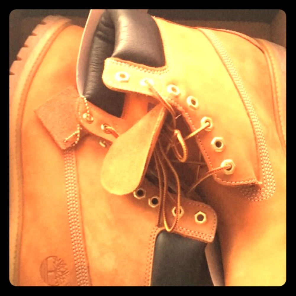 Clean Timberlands